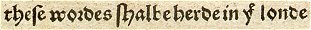 these words shall be ...